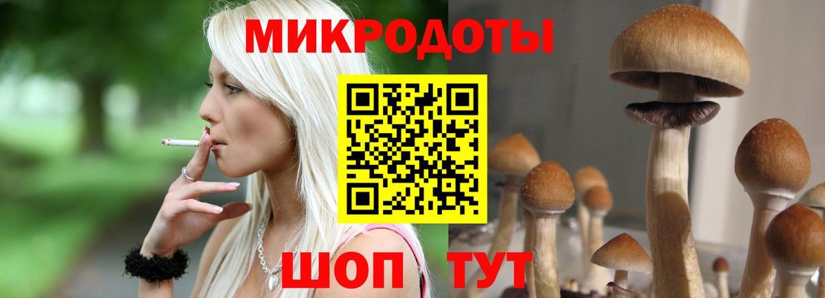 Советская Гавань  Псилоцибиновые грибы мицелий  как найти закладки  Вход с VPN 